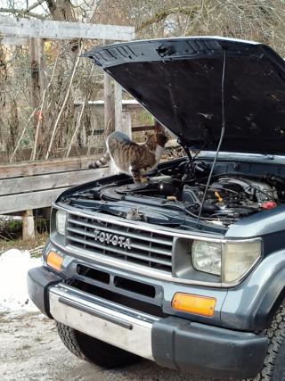 TOYOTA Land Cruiser usata, con Trazione integrale