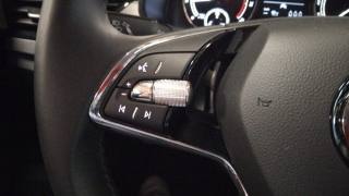 SKODA Kamiq usata, con Sensore di luce