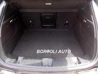 ALFA ROMEO Tonale usata, con Controllo automatico clima