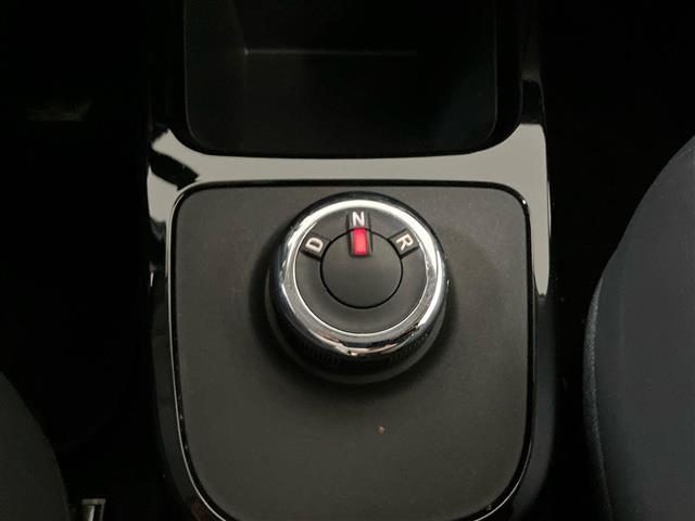 DACIA Spring usata 18