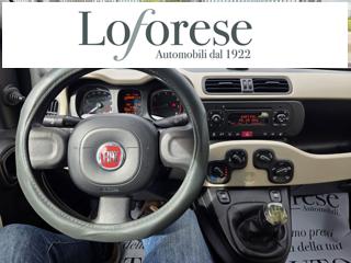 FIAT Panda usata, con Servosterzo