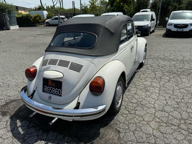 VOLKSWAGEN Maggiolone usata 6