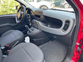FIAT Panda usata, con Cruise Control