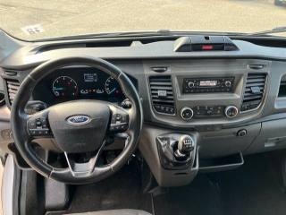FORD Transit usata, con Fendinebbia