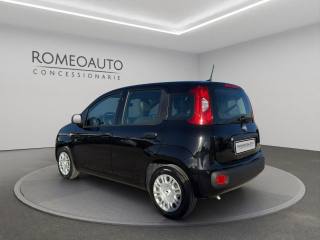 FIAT Panda usata, con Antifurto