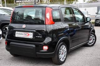 FIAT Panda usata, con Airbag Passeggero