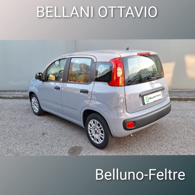 FIAT Panda usata, con Airbag Passeggero