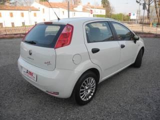 FIAT Punto usata 64