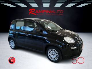 FIAT Panda usata 5