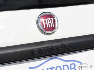 FIAT Panda usata 35