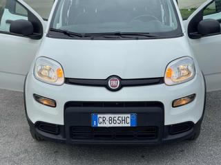 FIAT Panda usata 14