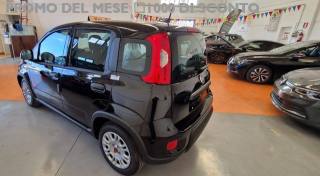 FIAT Panda usata, con Alzacristalli elettrici