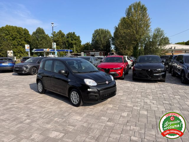 FIAT Panda usata, con Airbag Passeggero