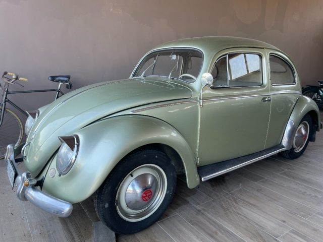 VOLKSWAGEN Maggiolino usata 0