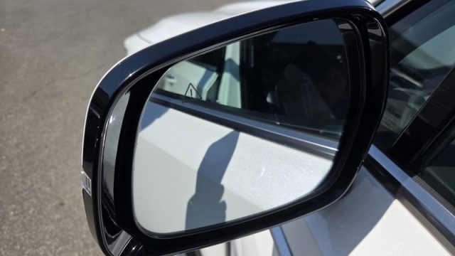 KIA Sorento usata, con Hill holder