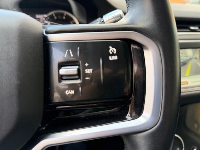 LAND ROVER Range Rover Evoque usata, con Servosterzo