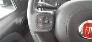 FIAT Panda usata 46
