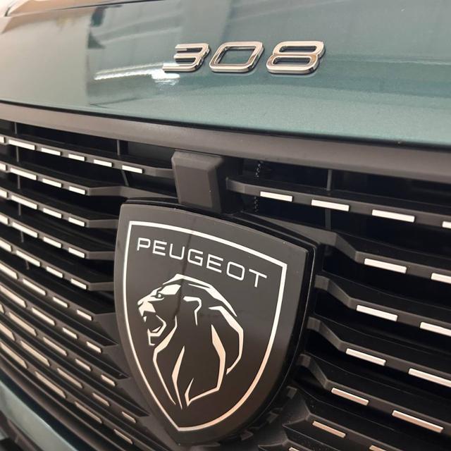 PEUGEOT 308 usata, con Specchietti laterali elettrici