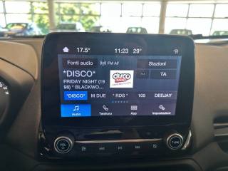 FORD EcoSport usata, con Fendinebbia