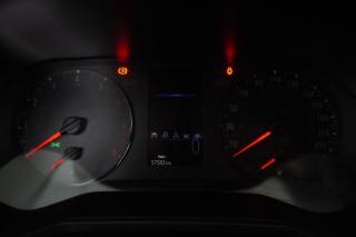 RENAULT Clio usata 13