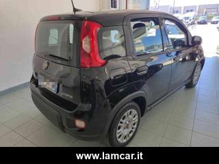 FIAT Panda usata, con ESP