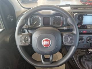 FIAT Panda usata, con Bluetooth