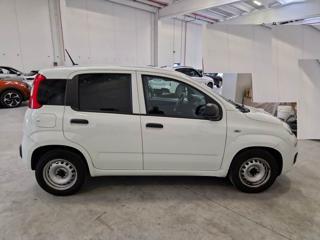 FIAT Panda usata, con Airbag Passeggero