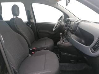 FIAT Panda usata 17