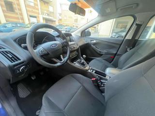 FORD Focus usata, con Cruise Control