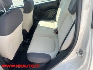 FIAT Panda usata, con Climatizzatore