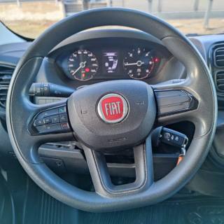 FIAT  usata 11