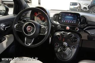 FIAT 500 usata 6