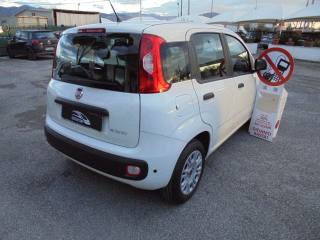 FIAT Panda usata, con Airbag testa