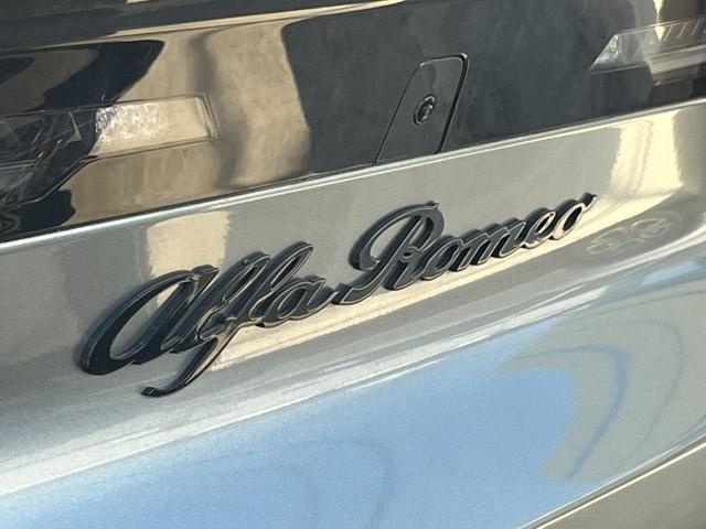 ALFA ROMEO Junior usata 21
