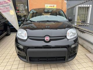 FIAT Panda 1.0 FireFly S&S Hybrid Pandina