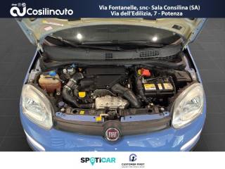 FIAT Panda usata, con USB