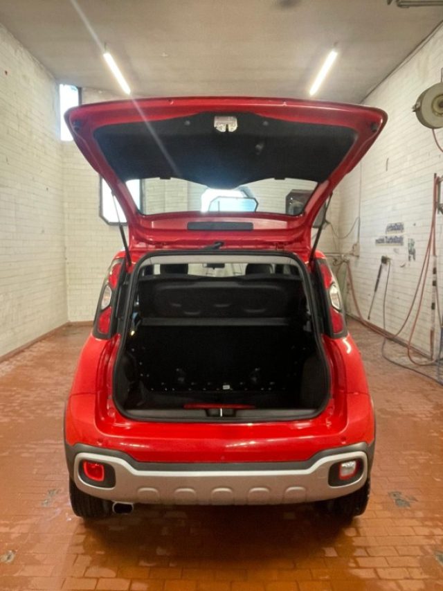 FIAT Panda Cross usata, con Fendinebbia