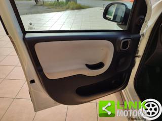 FIAT Panda usata 17