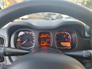 FIAT Panda Cross usata, con Volante in pelle