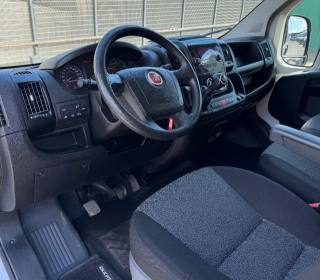 FIAT  usata 9