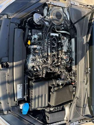 VOLKSWAGEN Golf usata, con Airbag testa