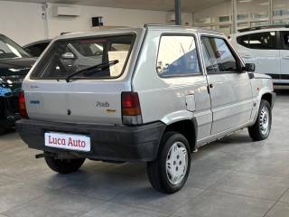 FIAT Panda usata 2