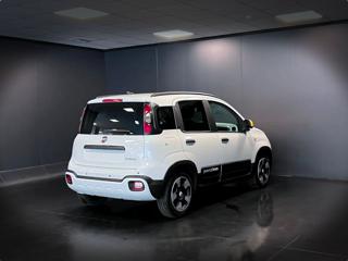FIAT Panda usata, con Antifurto