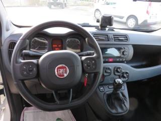 FIAT Panda usata, con Chiusura centralizzata