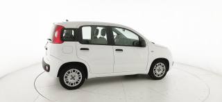 FIAT Panda usata 18