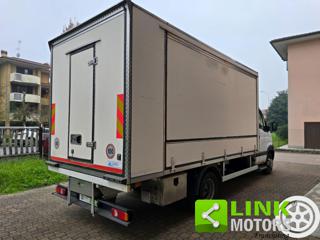 RENAULT  usata 31