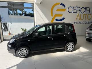 FIAT Panda usata, con Controllo trazione
