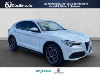 ALFA ROMEO Stelvio usata, con Boardcomputer