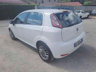 FIAT Punto usata, con Chiusura centralizzata