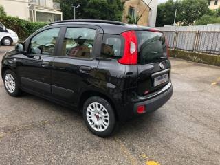 FIAT Panda usata, con Airbag Passeggero